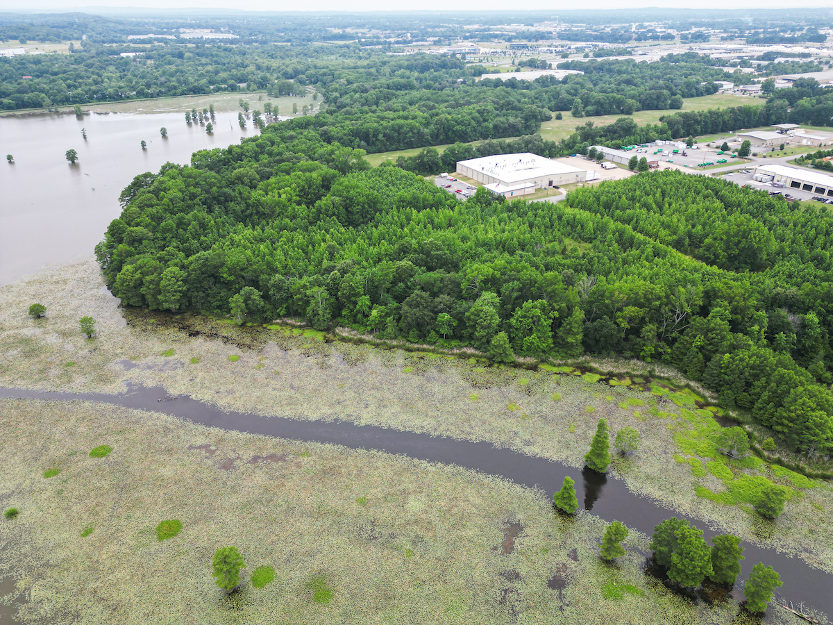 Aerial view of marsh on Lake Conway.